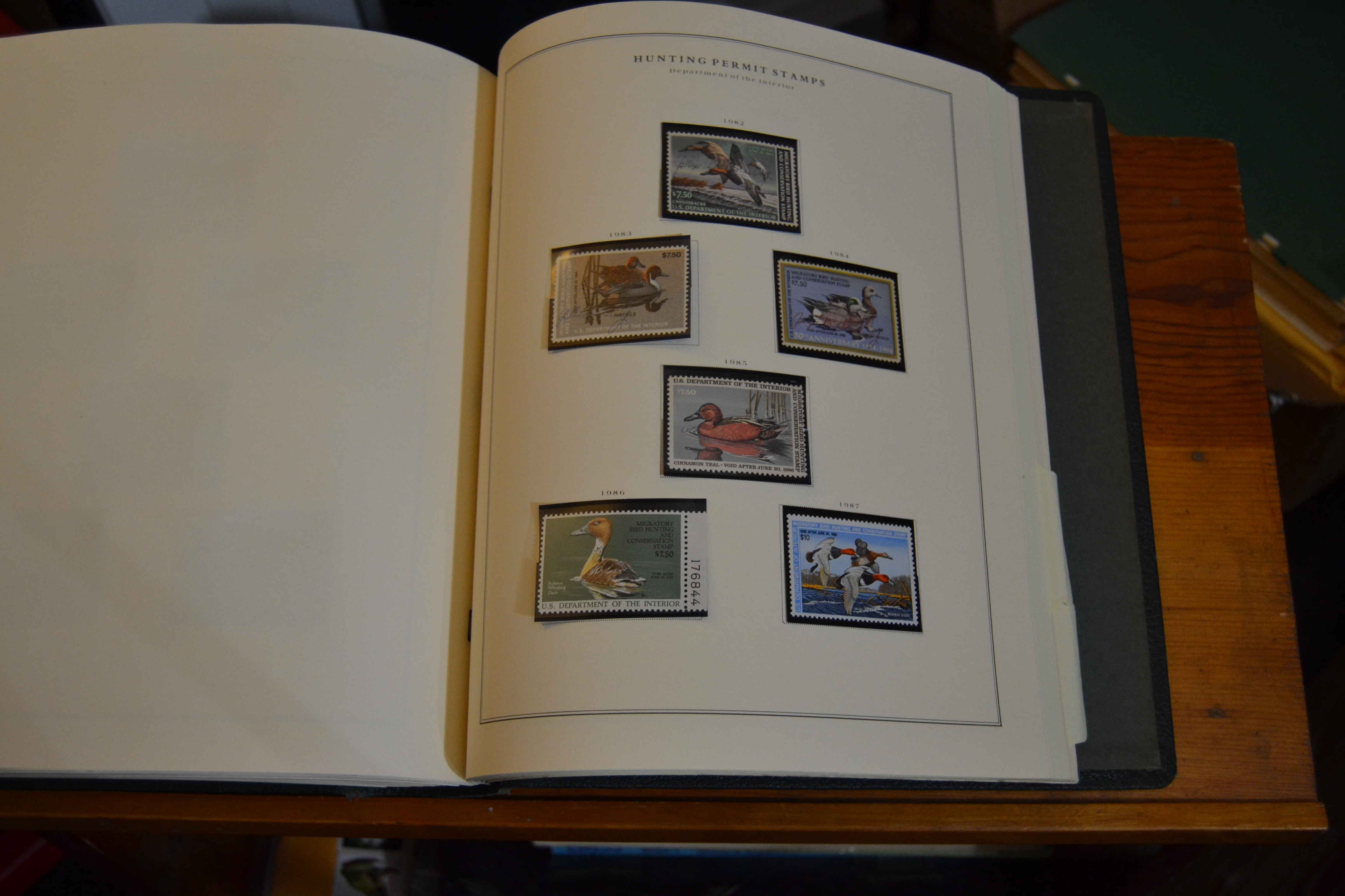 Back of the Book, page 50